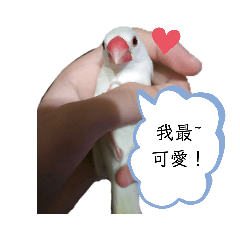 小咪的日常貼圖