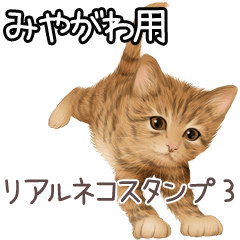 Miyagawa Real pretty cats 3