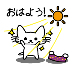 Mr. Star Cat