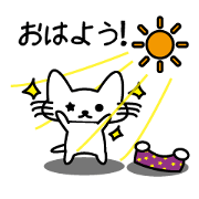 Mr. Star Cat