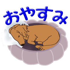 いつも一緒にいたいワン 動く Line スタンプ Line Store いつも一緒にいたいワン 動く Line スタンプ Line Store