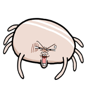 dog ticks cute