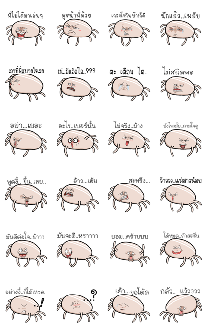 dog ticks cute