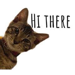 Charlie & Winston Stickers Vol.1