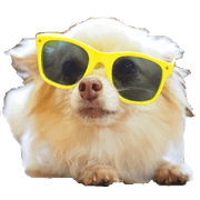doggiesfan8
