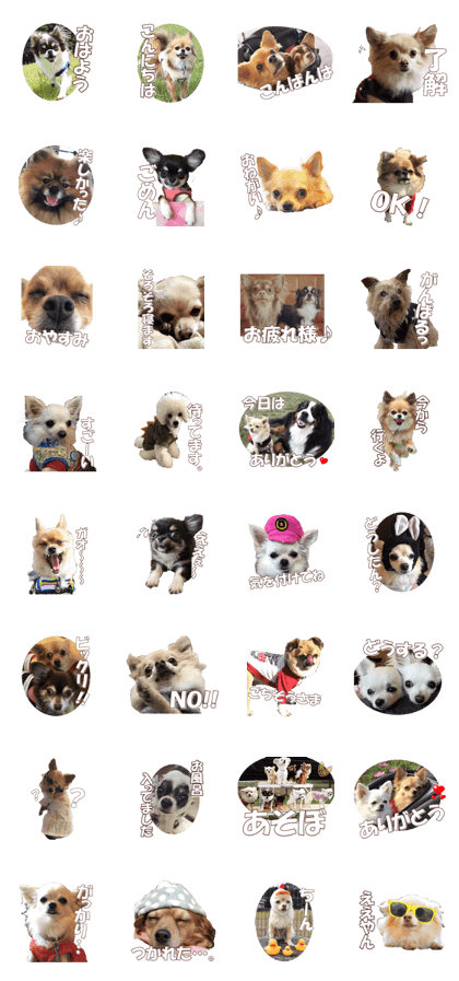 doggiesfan8