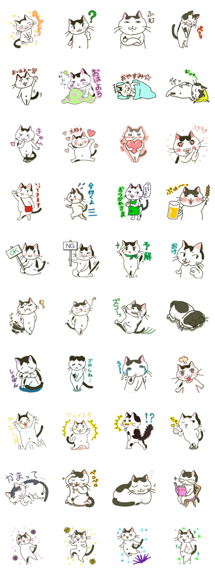 black and white colored cat