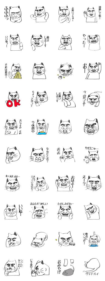 Peculiar cat's Expression.