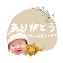 tanuki_20201122130639