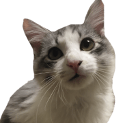 cat of cure balloon version Japanese