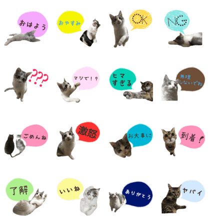 cat of cure balloon version Japanese