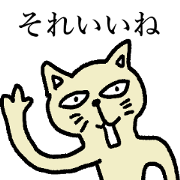 A cat affirming everything
