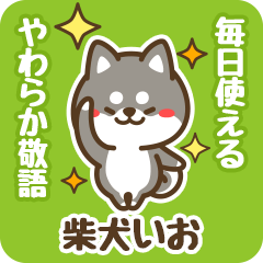 Petit Black Shiba Io (Honorific)