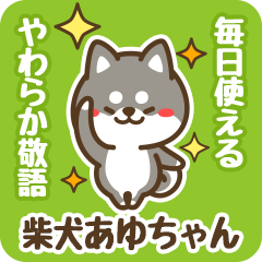 Petit Black Shiba Ayuchan (Honorific)