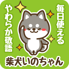 Petit Black Shiba Inochan (Honorific)