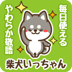 Petit Black Shiba Itchan (Honorific)