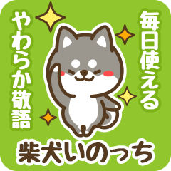 Petit Black Shiba Inocchi (Honorific)