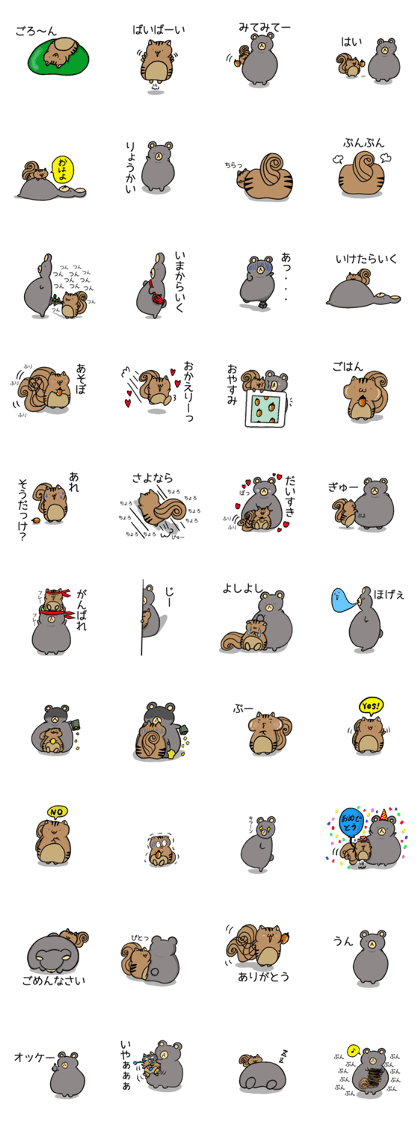 squirrel "Saya" reviced