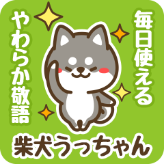 Petit Black Shiba Ucchan (Honorific)