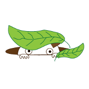 Molly Cute (Thai)