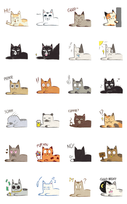 Cats don't come