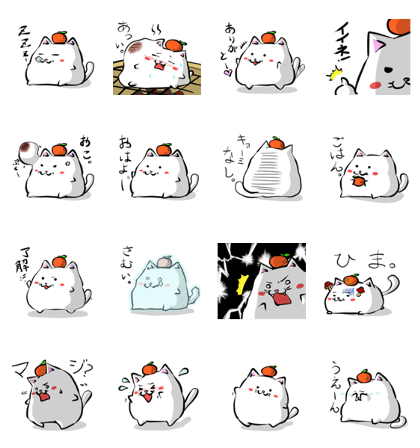 Ricecake cat