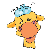 Funny and Adorable Giraffe