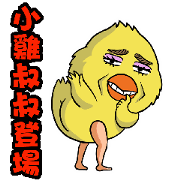 Uncle chick