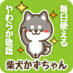 Petit Black Shiba Kazuchan (Honorific)