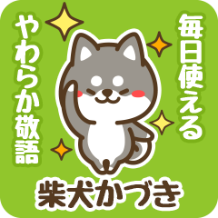 Petit Black Shiba Kaduki (Honorific)