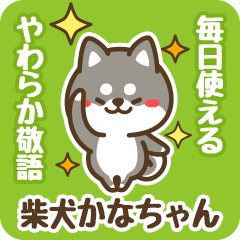 Petit Black Shiba Kanachan (Honorific)