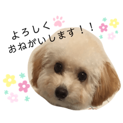 fuwa_20201122160432