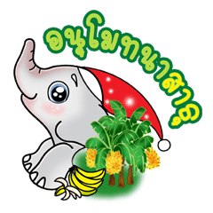 ช้างน้อยบ้านไร่