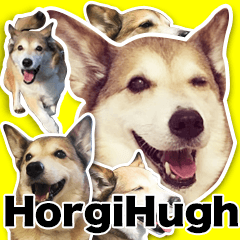 Horgi Hugh