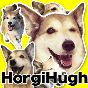 Horgi Hugh