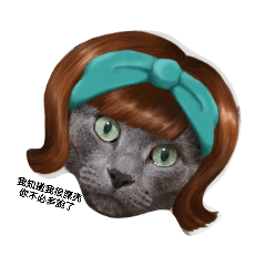 貓咪的淘氣表情