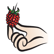 Please have some fruit