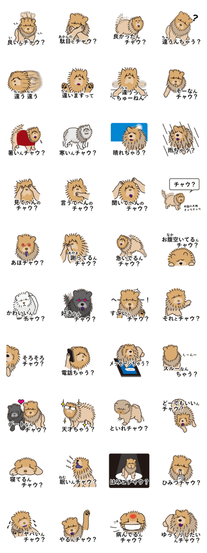 The chow chow of the Osaka dialect