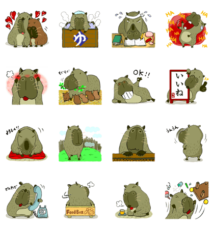 Hi~!!capybara ii