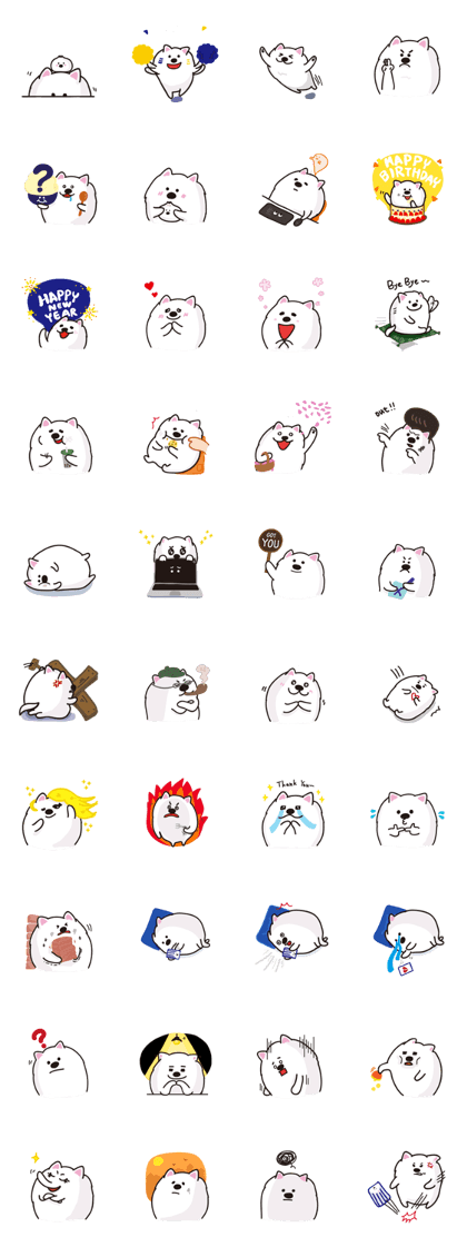 Japanese Spitz FUFU 2 ( International )