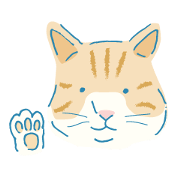 My cat Auchan