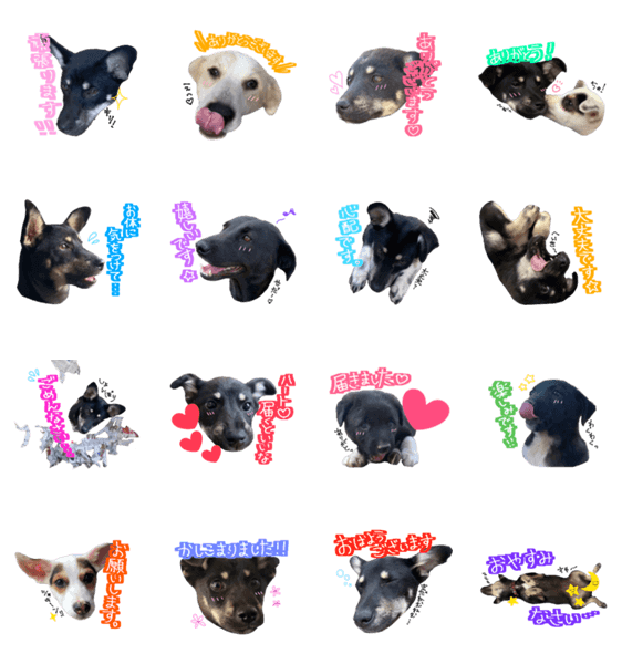 保護犬マロ Lineクリエイターズスタンプ Stamplist