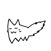 Every day of the suitable cat