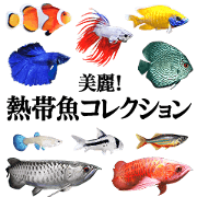 Tropical fish collection