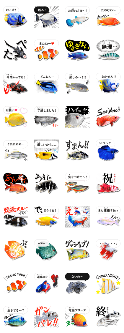 Tropical fish collection