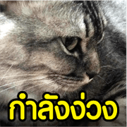 TwoCat