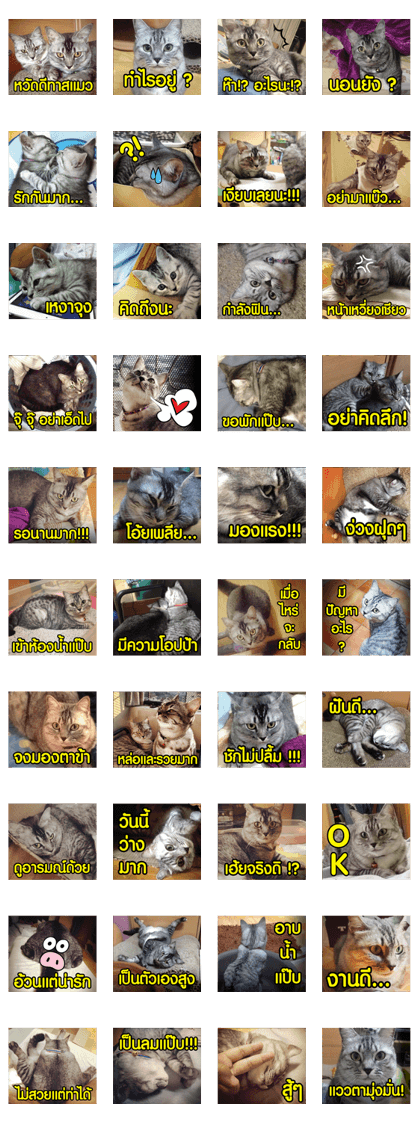 TwoCat