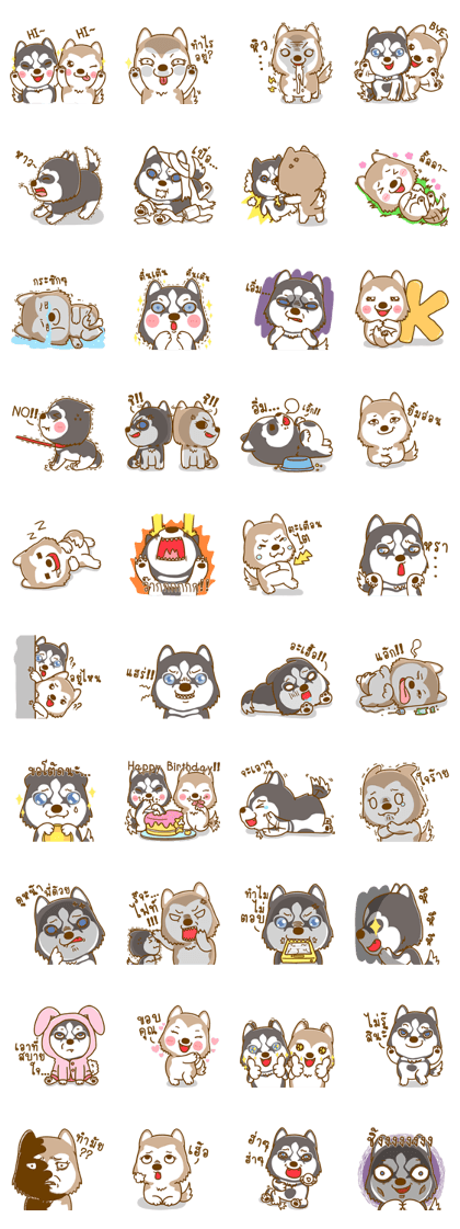 Coffee and Latte Husky