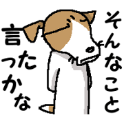 Jack dog 11