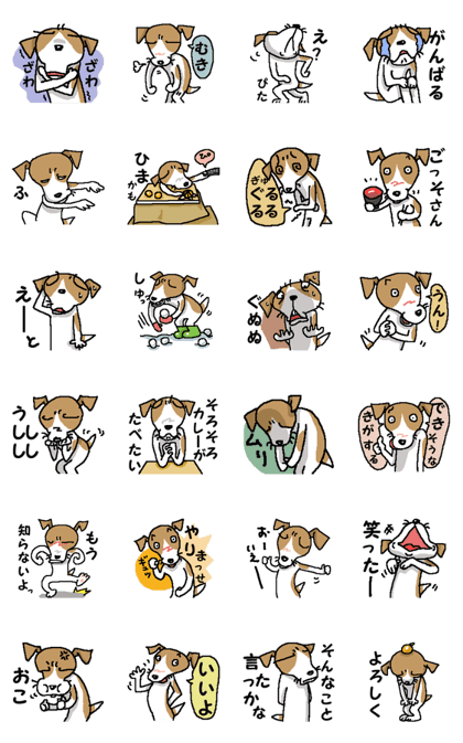 Jack dog 11